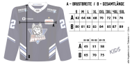 Trikot Away Authentic 2026/2027