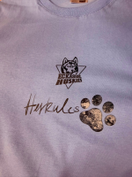 KidsClub Shirt 142/152